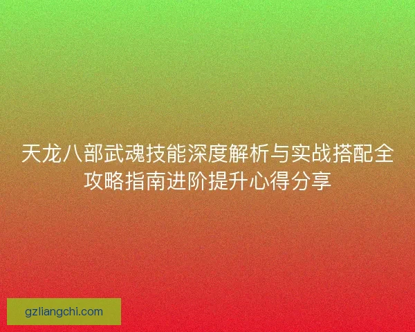 天龙八部武魂技能深度解析与实战搭配全攻略指南进阶提升心得分享